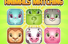 Animals Memory Matching