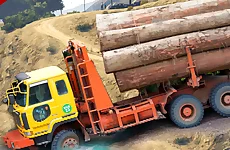 Heavy Cargo Truck Driver