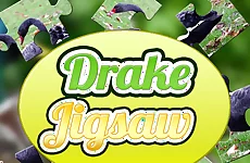 Drake Jigsaw