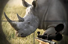 Wild Rhino Hunter