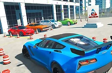 Ultimate Car Parking Simulator Crazy 2021