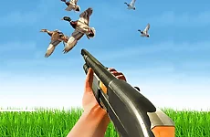 BIRD HUNTING Gun Fire Shooter