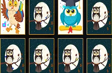 Cute Owl Memory