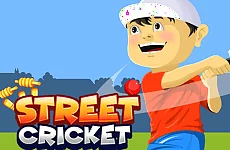 Street Cricket