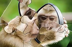 Chimpanzee Jigsaw