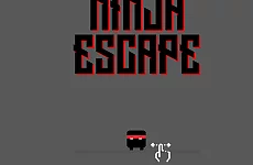Ninja escape