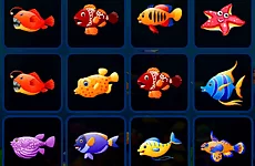 Fish Cards Match