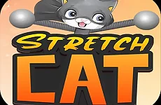 STRETCH CAT 3D