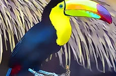 Toucan Bird Jigsaw