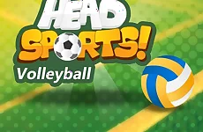 Head Sports Volleyball