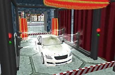 Sports Car Wash