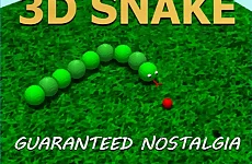 3D SNAKE