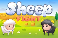 Sheep Fight