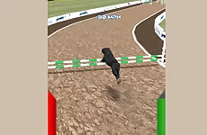 Dog Racing Simulator