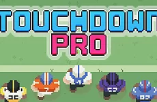 Touchdown Pro