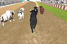 Angry Bull Racing