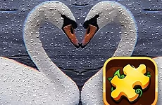 Swan Puzzle Challenge