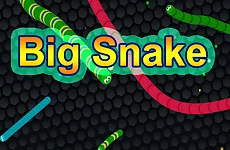 EG Big Snake