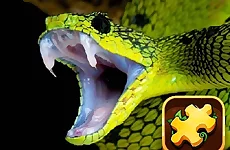 Snake Puzzle Challenge