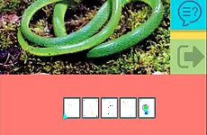 Picture Quiz