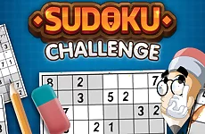 Sudoku Challenge