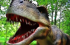 Dinosaurs Scary Teeth Puzzle