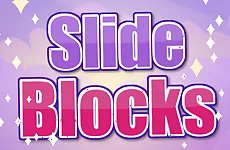 Slide blocks Puzzle