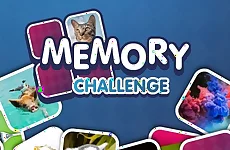 Memory Challenge