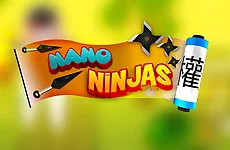EG Ninja Run