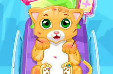 Little Cat Doctor