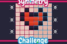 Symmetry Challenge