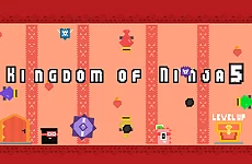 Kingdom of Ninja 5