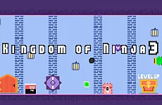 Kingdom of Ninja 3