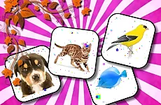 Animals Memory