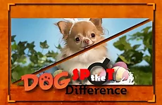 Dog Spot the Difference