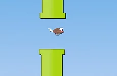 Floppy Fly