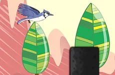 Bird Flying