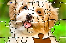 Jigsaw Puzzle 2020