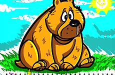 Coloring Books: Animals