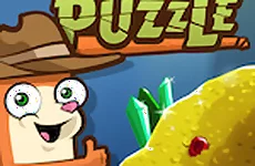 Temple Puzzle