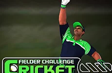 Cricket Fielder Challenge Game