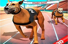 Ultimate Dog Racing Game 2020