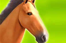 Horse Run 3D
