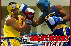 Angry Boxers Fight