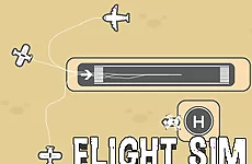 Flight Sim