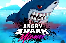 Angry Shark Miami