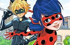 Ladybug Differences