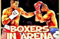 Boxers in Arena