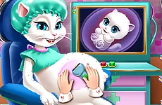 Kitty Pregnant Checkup