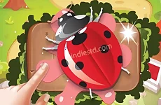 Bugs Bang 2019